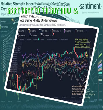 Which crypto to buy right now